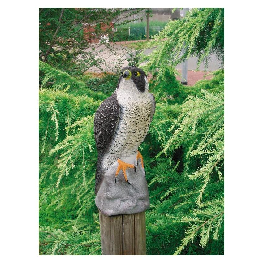 Faucon pour Décoration de Bassin Aquatique