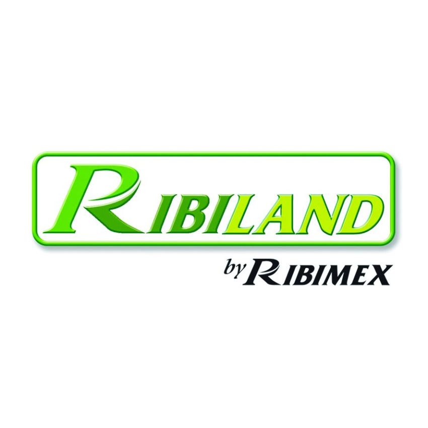 Tuyau Plat 3 Couches 20m D.38mm