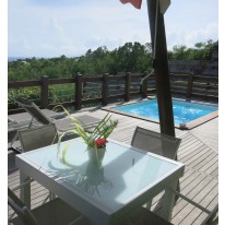 Piscine Bois carrée SPARK TROPICANA Avec escalier 320x320x145 cm